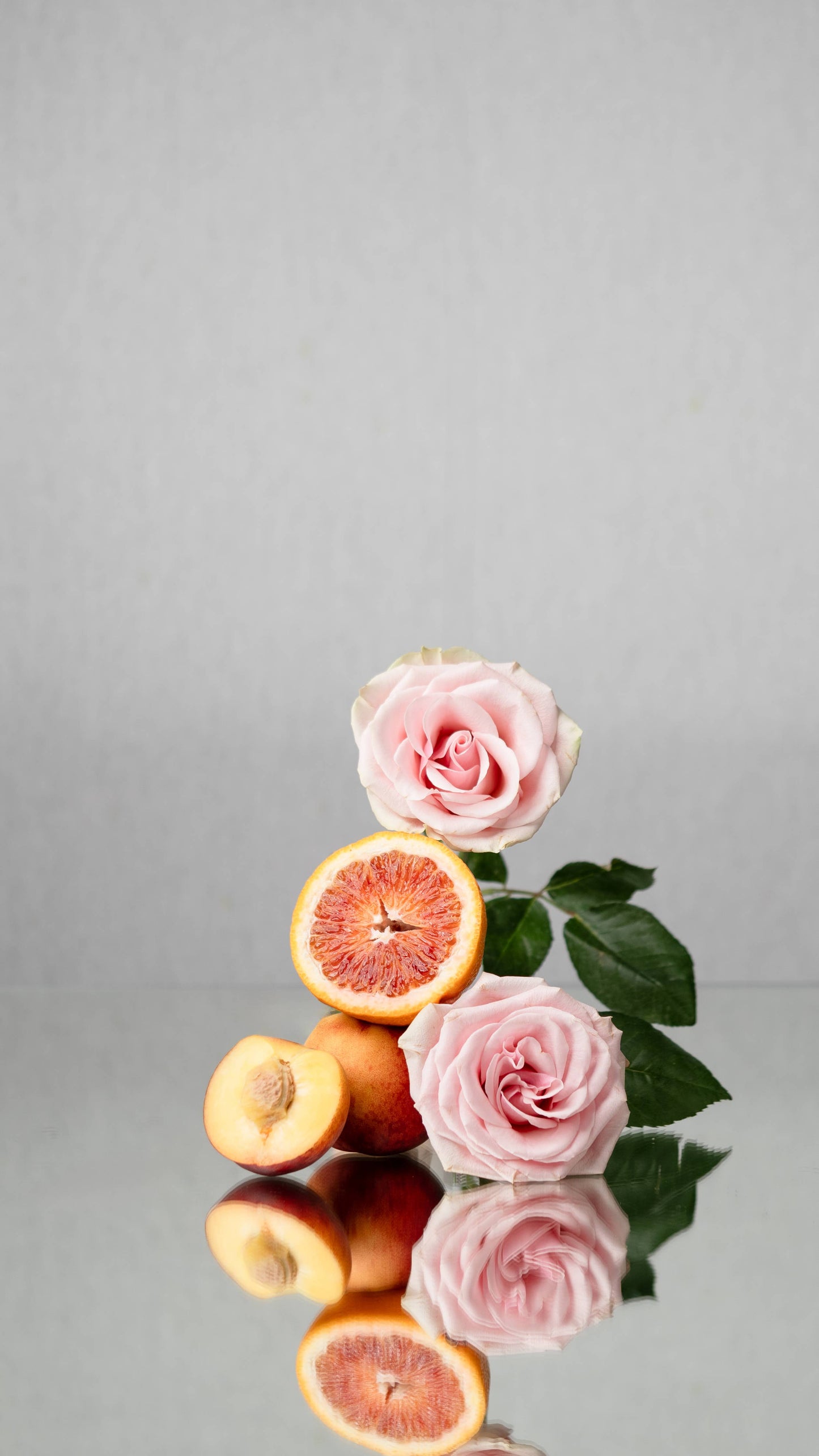 Pink roses and blood oranges on a reflective surface with a gray background