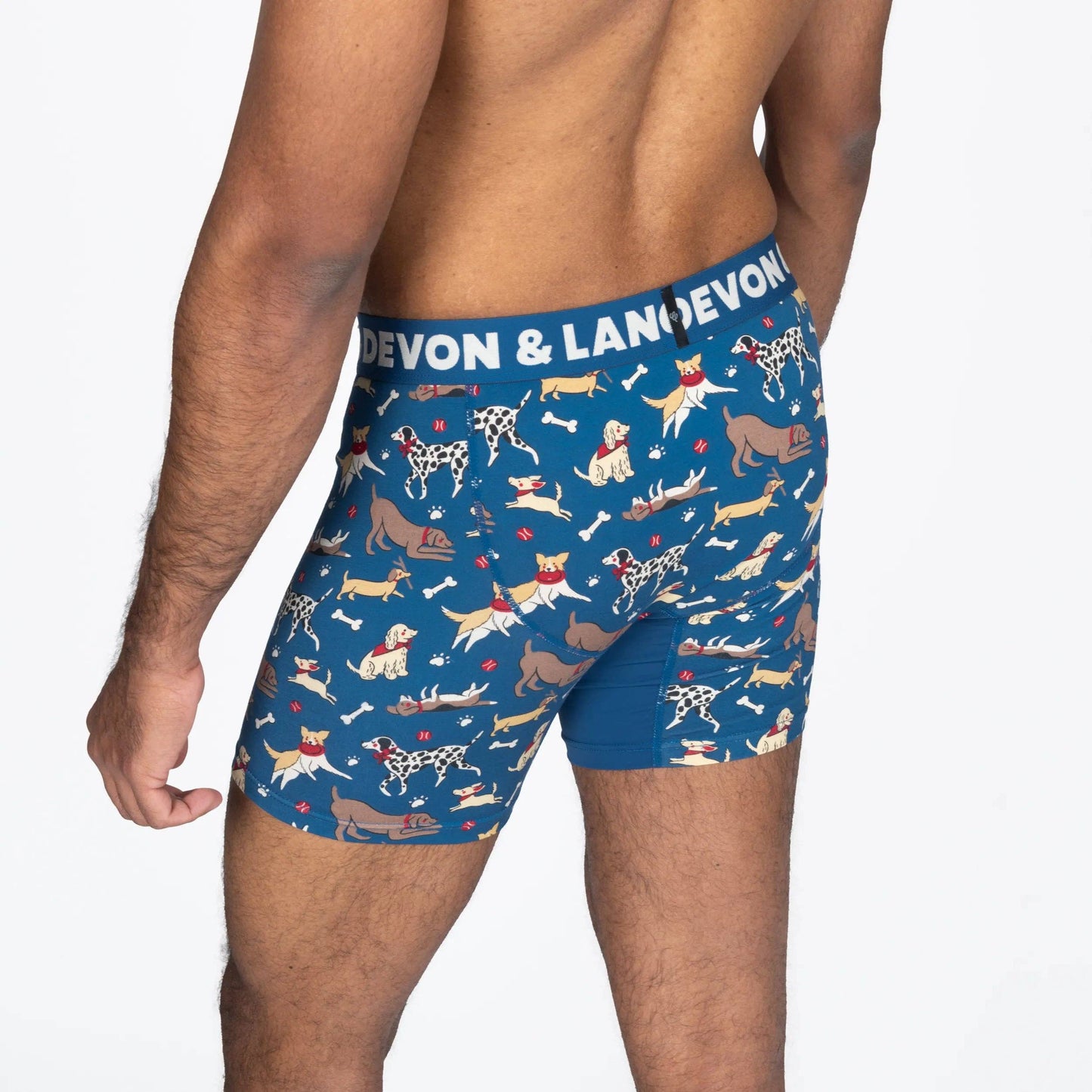 Devon & Lang Men's Venture 6" Boxer Brief - Dog Park