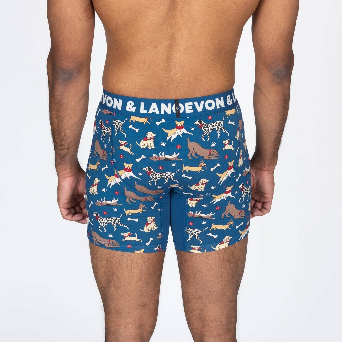 Devon & Lang Men's Venture 6" Boxer Brief - Dog Park