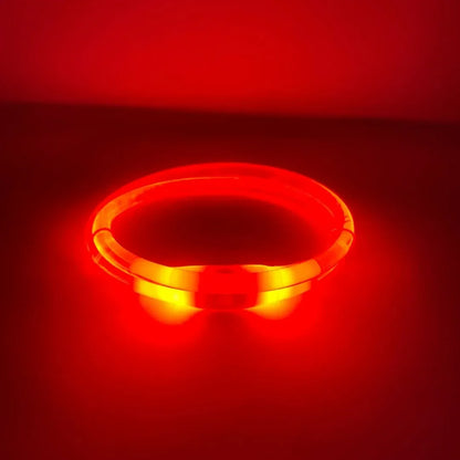 Rocky Mountain Dog Mountain Beacon LED Collar