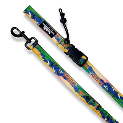 Rocky Mountain Dog Waterton All Mountain Leash
