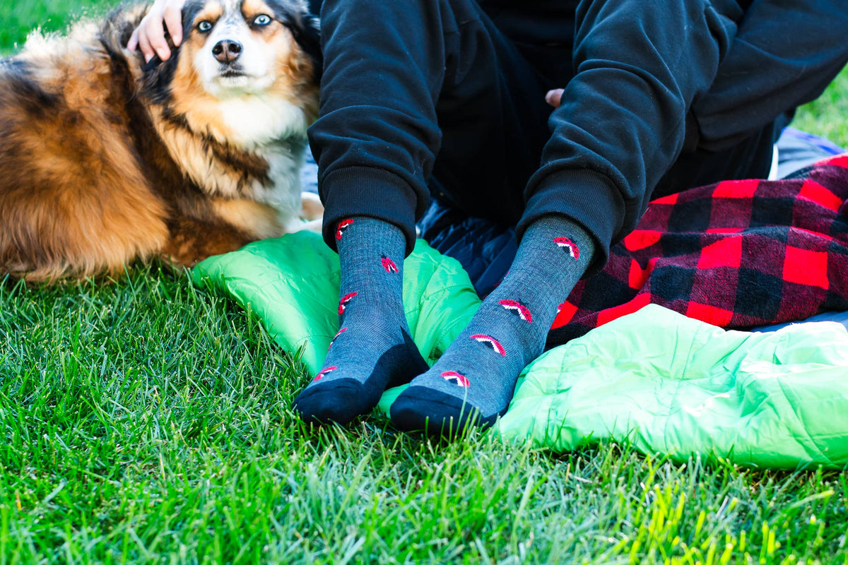 Friday Sock Co. Women's Ladybug Merino Wool Socks