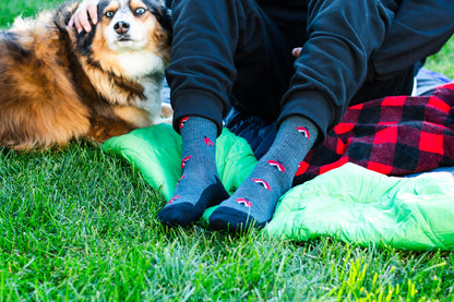 Friday Sock Co. Women's Ladybug Merino Wool Socks