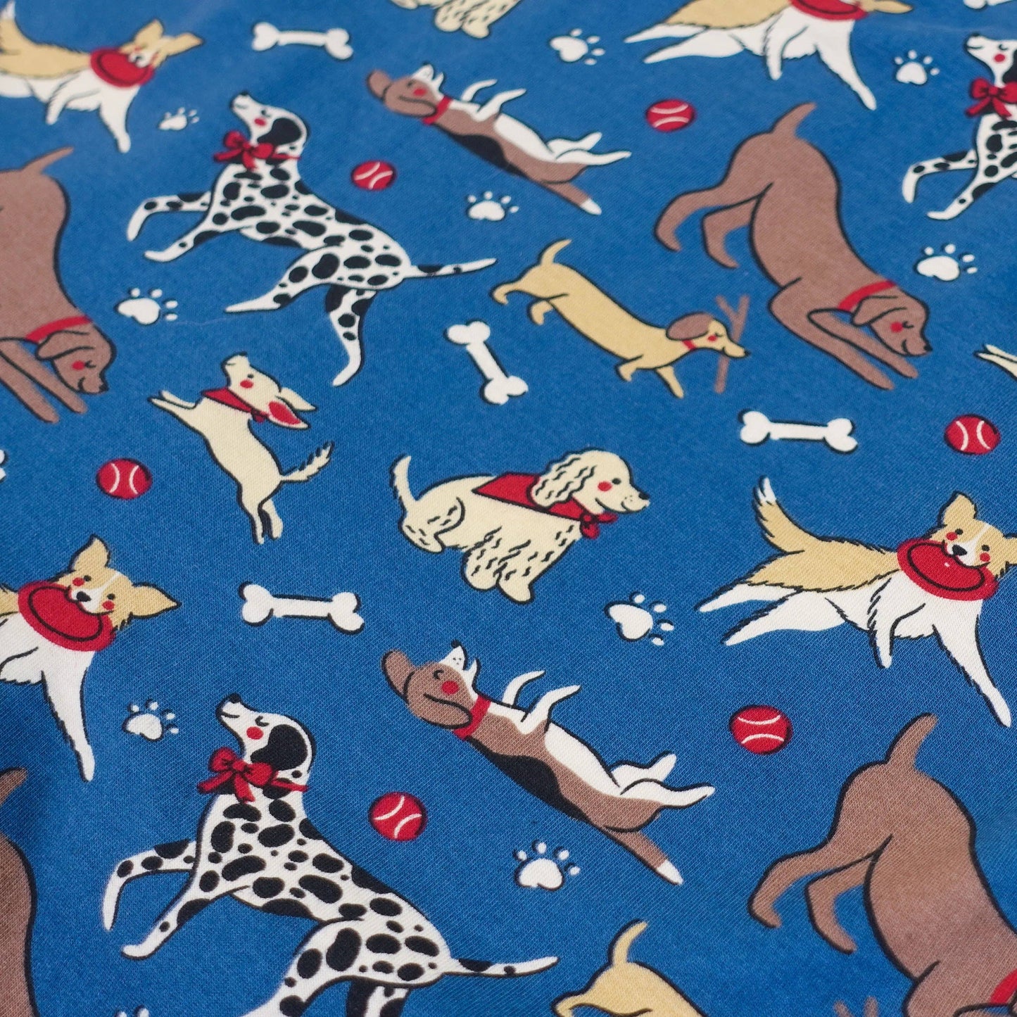 Devon & Lang Men's Venture 6" Boxer Brief - Dog Park