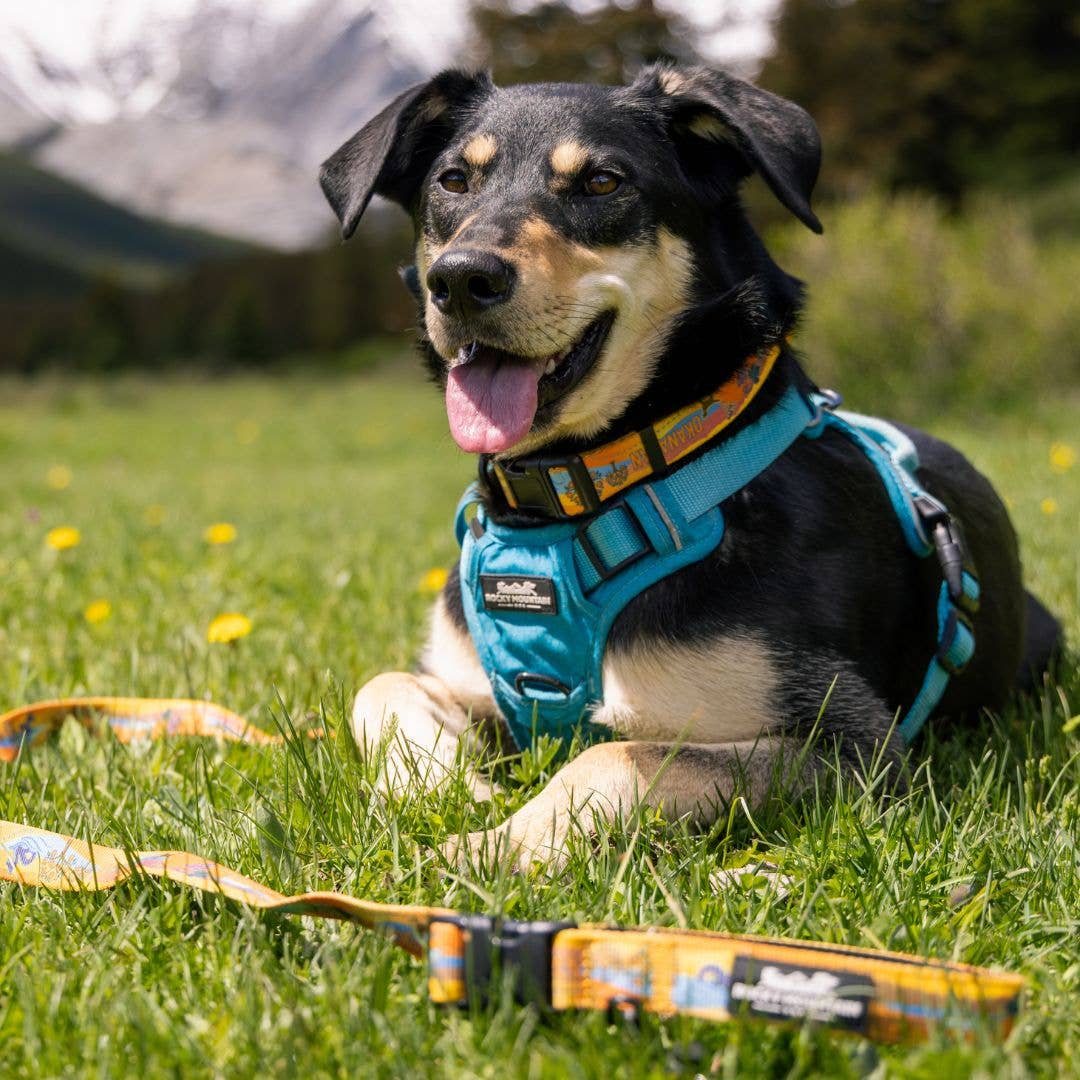 Rocky Mountain Dog Okanagan All Mountain Leash