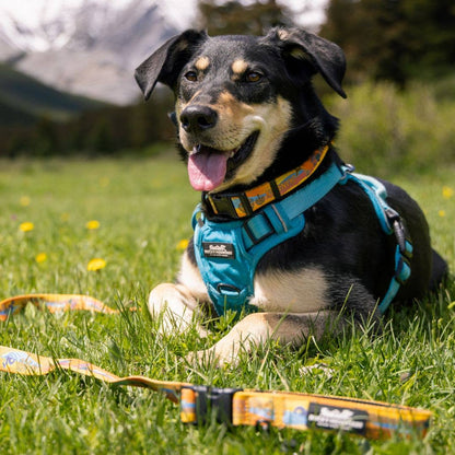 Rocky Mountain Dog Okanagan All Mountain Leash