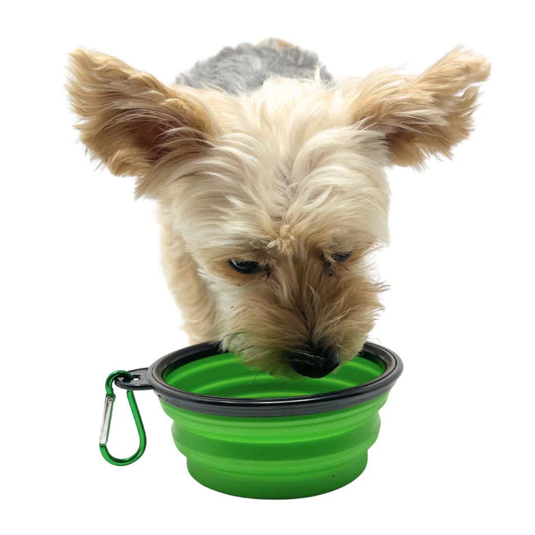 Collapsible Dog Trail Bowl