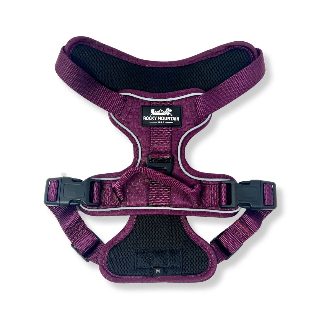 Summit All Terrain Dog Harness