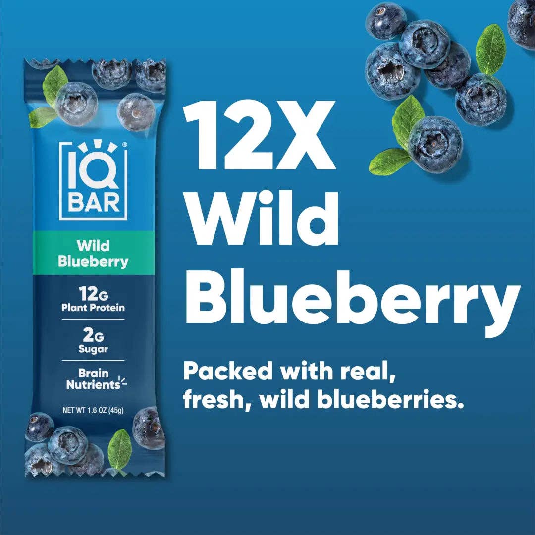 IQBAR Wild Blueberry Brain + Body Protein Bar