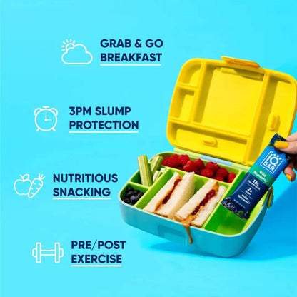 IQBAR Wild Blueberry Brain + Body Protein Bar