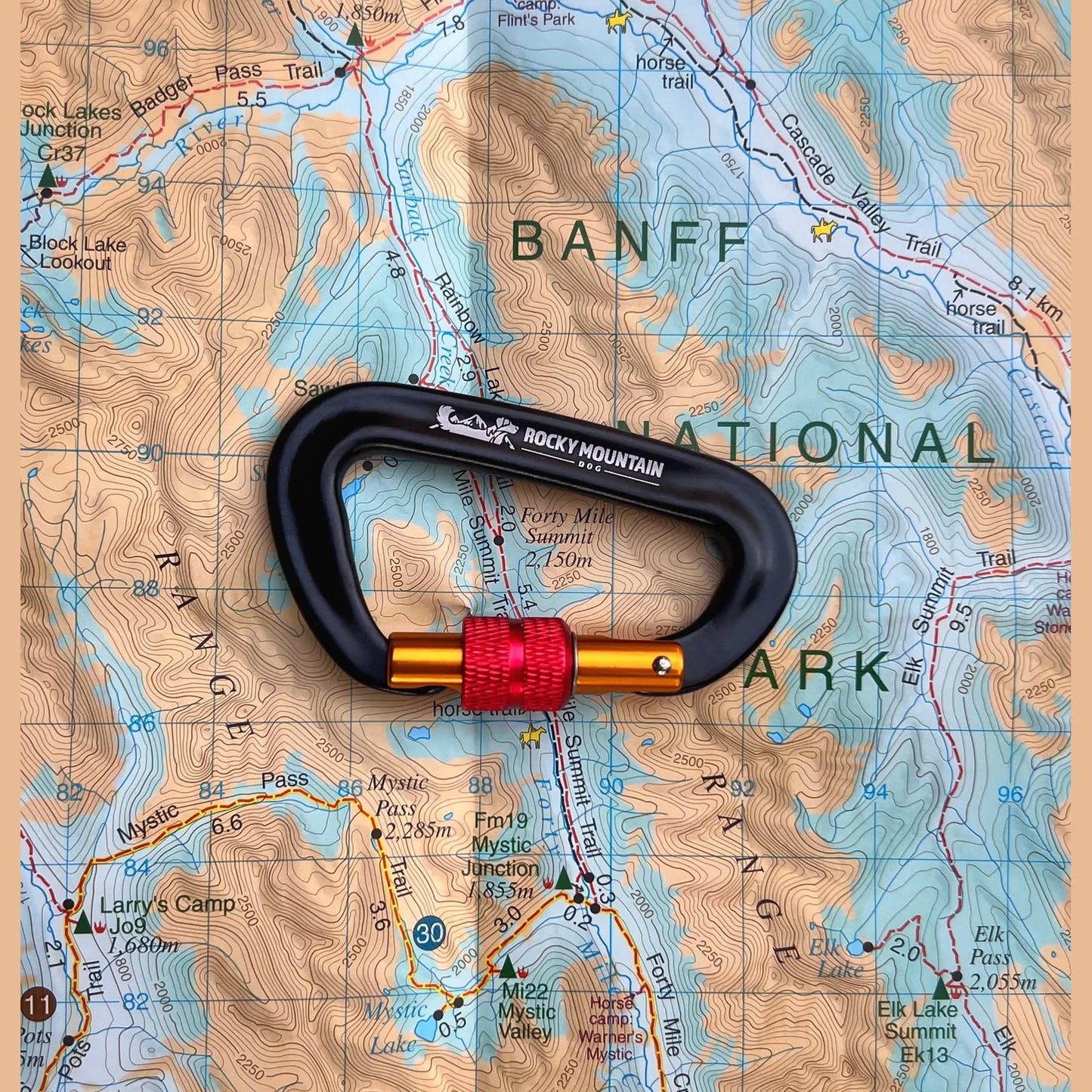 Rocky Mountain Dog | Locking Carabiner