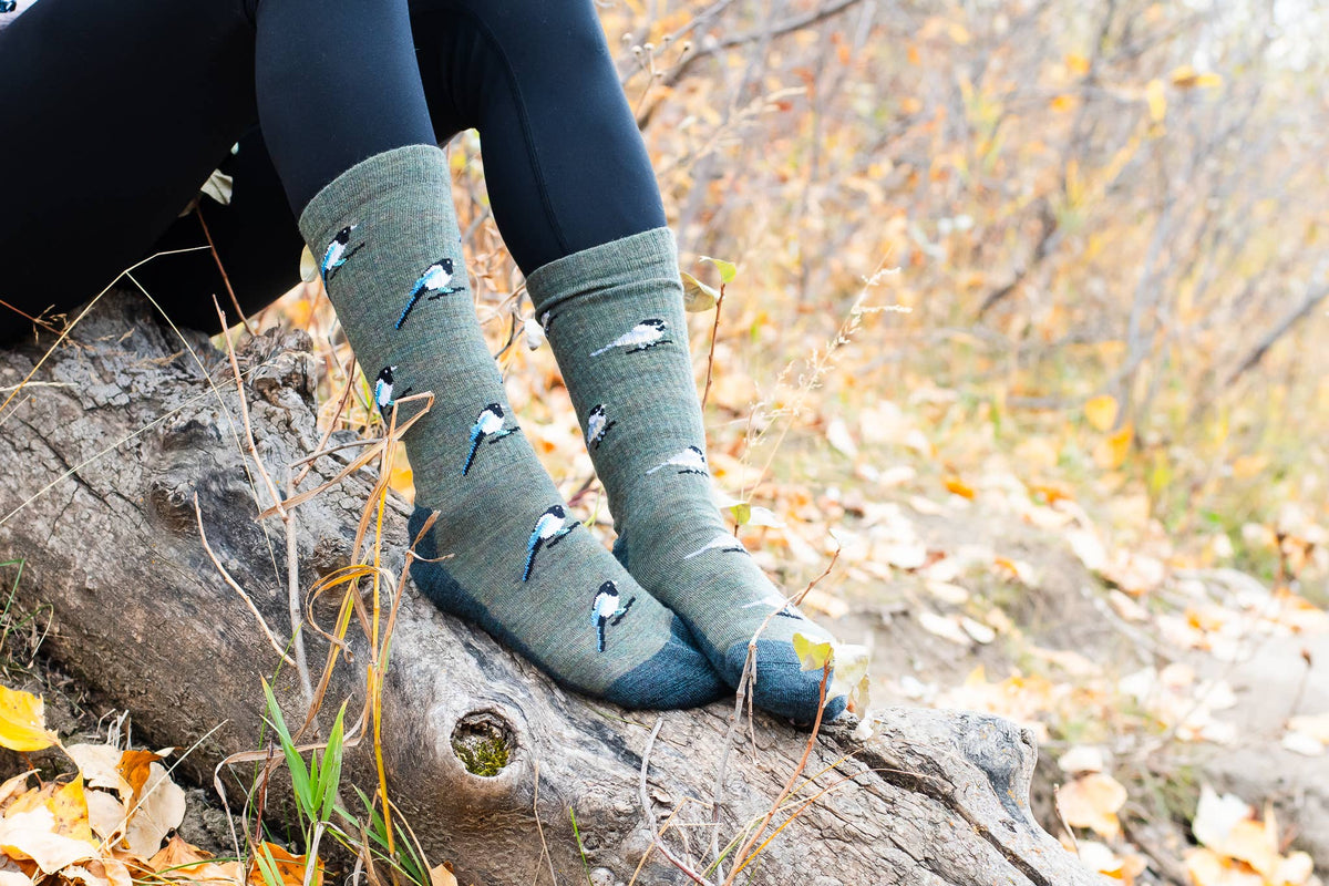 Friday Sock Co. Women's Chickadee & Magpie Merino Wool Socks