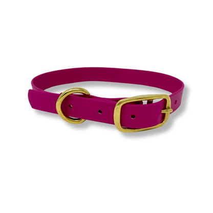 Biothane Dog Collars