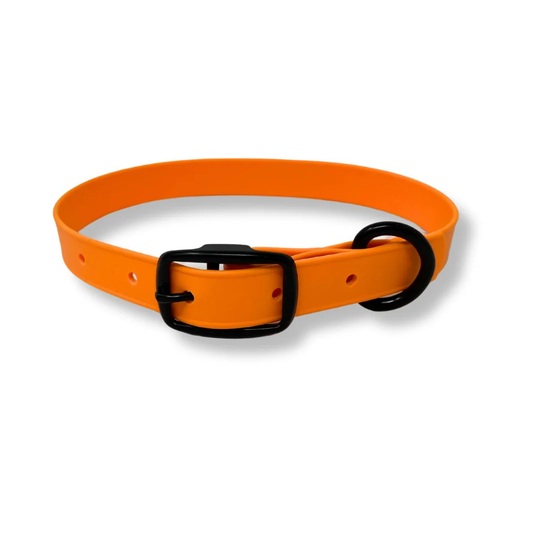 Rocky Mountain Dog Biothane Orange dog collar with a black buckle on a white background