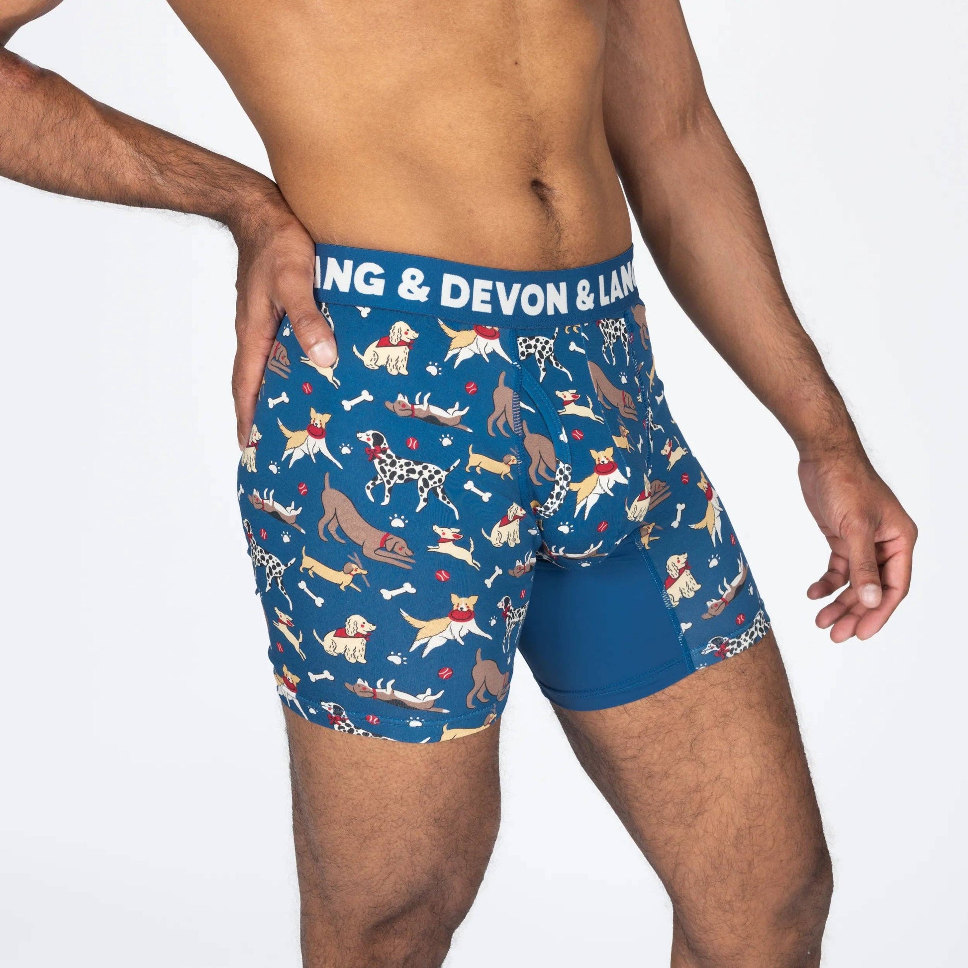 A man wearing blue boxer briefs with a playful dog print and a solid blue inner leg panel. The waistband features white text reading 'DEVON & LANG'.