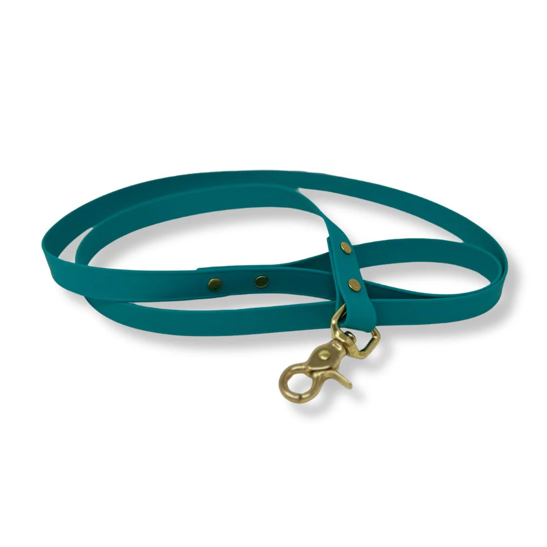 Biothane Dog Leash
