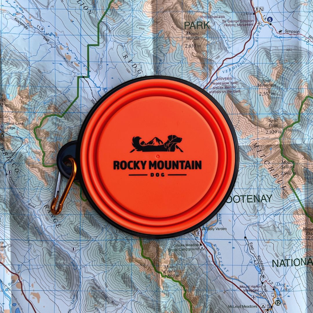 Collapsible Dog Trail Bowl