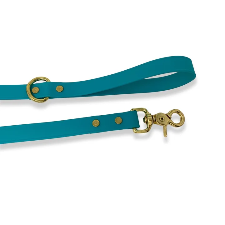 Biothane Dog Leash
