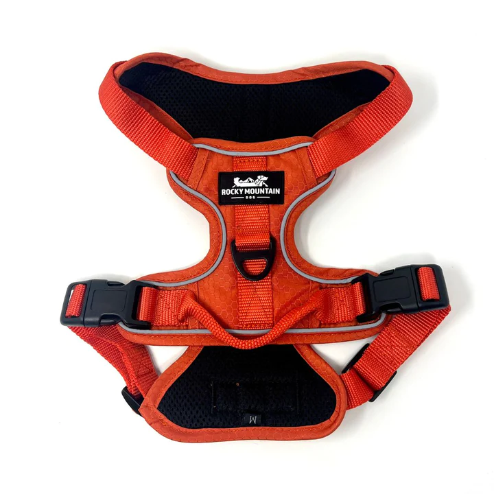 Summit All Terrain Harness