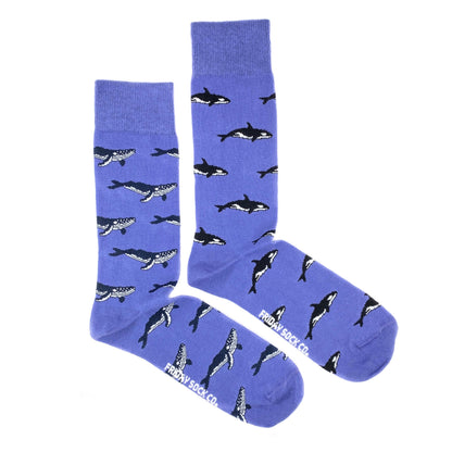 Humpback Whales and Orca Socks Men's 7-12