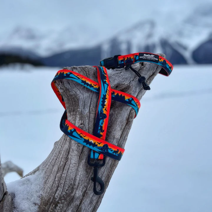 Banff All Mountain Dog Leash