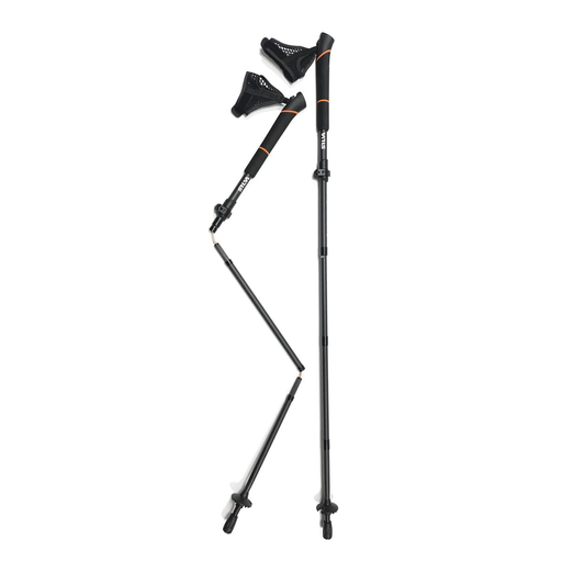 Running Poles Carbon Adjustable 100-120cm