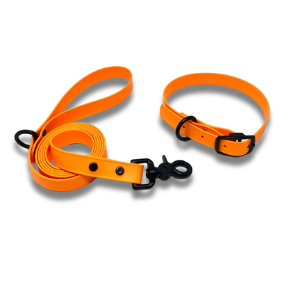 Biothane Dog Leash
